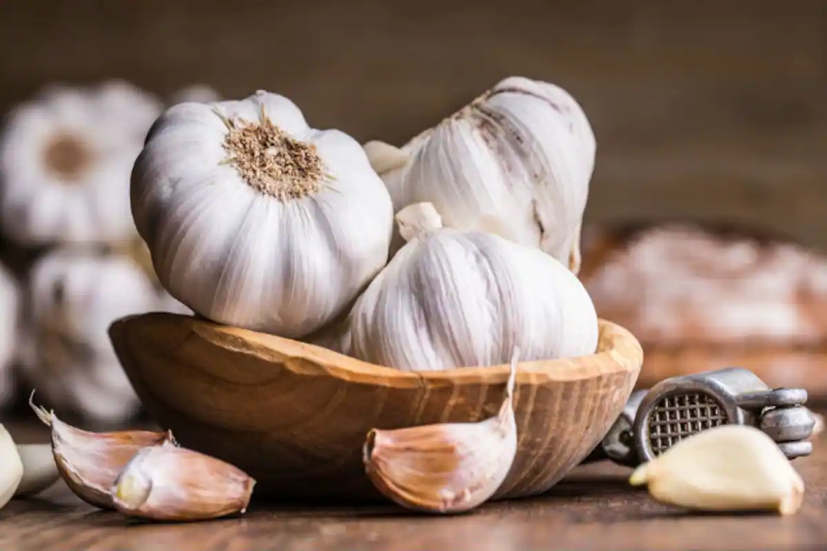 The Remarkable Benefits of Garlic: A Closer Look